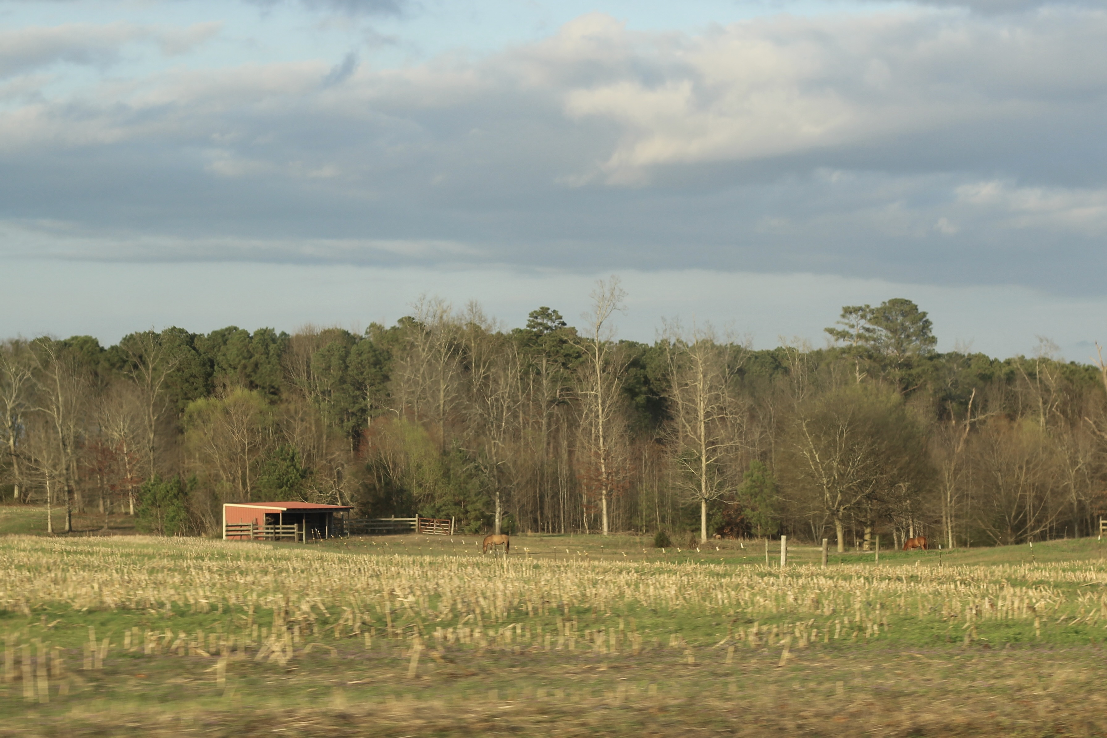 Small Red Building with 2 Horses